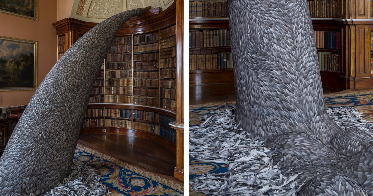 Artista Usa Penas De Pombo Em Sua Impressionante Arte Que Cai De Uma Estante De Livros